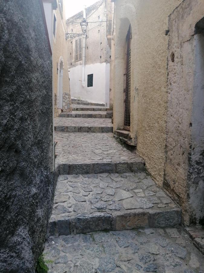 B&B Nonna Ida Scalea Dış mekan fotoğraf